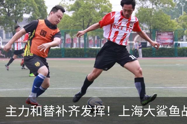 主力和替补齐发挥！上海大鲨鱼战胜福建队