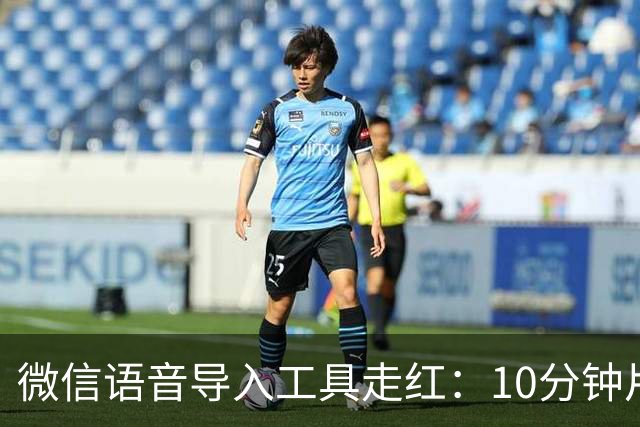 微信语音导入工具走红：10分钟片段约2秒完成