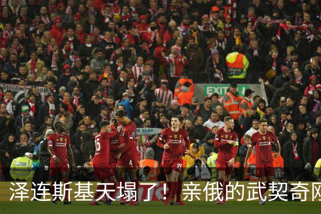 泽连斯基天塌了！亲俄的武契奇刚下台，新政府就针对乌克兰