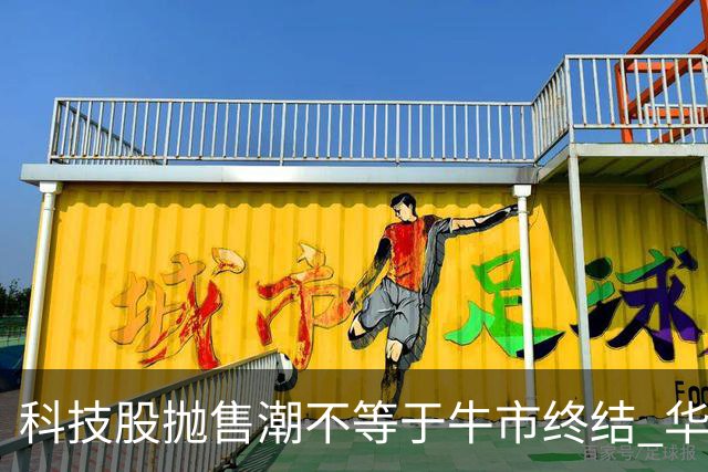 科技股抛售潮不等于牛市终结 华尔街策略师：基本面依然强劲 回调或是买入良机